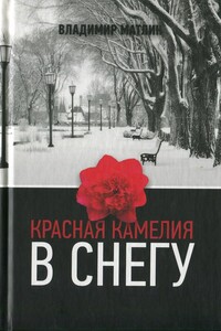 Красная камелия в снегу - Владимир Матлин