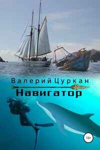 Навигатор - Валерий Алексеевич Цуркан