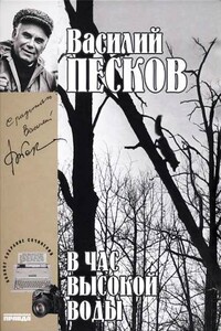 Том 16. В час высокой воды - Василий Михайлович Песков