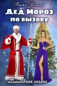 Дед Мороз по вызову - Настя Ильина