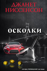 Осколки - Джанет Ниссенсон