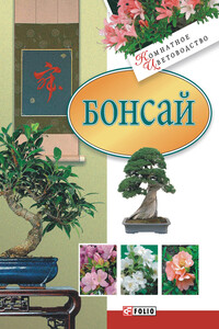 Бонсай - Мария Павловна Згурская