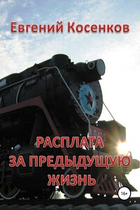 Расплата за предыдущую жизнь - Евгений Николаевич Косенков