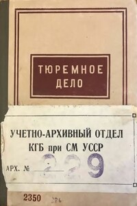 Тюремное дело - Александр Григорьевич Галкин, Константин Сергеевич Зильберман