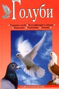 Голуби - Линиза Жувановна Жалпанова