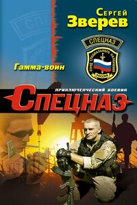 Гамма-воин - Сергей Иванович Зверев