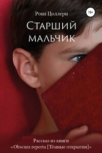Старший мальчик - Рона Цоллерн