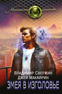 Змея в изголовье - Владимир Свержин, Джей МакАйрин
