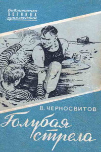 Голубая стрела - Владимир Михайлович Черносвитов