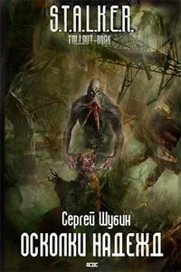 Осколки надежд - Сергей Шубин