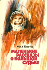 Маленькие рассказы о большой судьбе - Юрий Маркович Нагибин