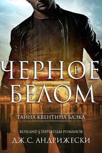 Чёрное в белом - Дж. С Андрижески