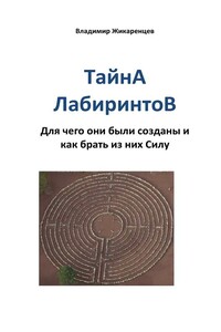 Тайна лабиринтов. Для чего они были созданы и как брать из них Силу - Владимир Васильевич Жикаренцев