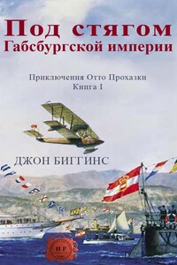 Под стягом Габсбургской империи - Джон Биггинс