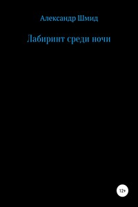 Лабиринт среди ночи - Александр Витальевич Шмид