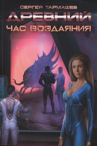 Час воздаяния - Сергей Сергеевич Тармашев