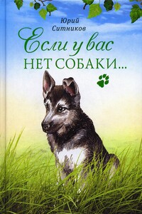 Если у вас нет собаки… - Юрий Вячеславович Ситников