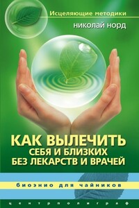 Как вылечить себя и близких без лекарств и врачей. Биоэнио для чайников - Николай Иванович Норд