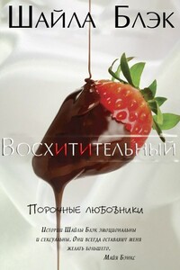 Восхитительный - Шайла Блэк