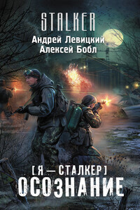 Осознание - Алексей Бобл, Андрей Юрьевич Левицкий