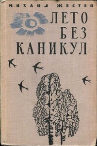 Лето без каникул - Михаил Ильич Жестев
