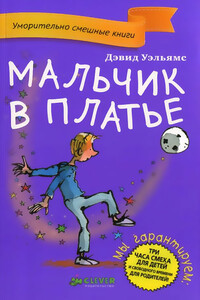 Мальчик в платье - Дэвид Уэльямс