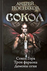 Сокол - Андрей Анатольевич Посняков