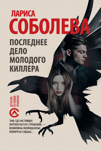 Последнее дело молодого киллера - Лариса Павловна Соболева