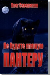 Не будите спящую пантеру - Олег Васильевич Северюхин