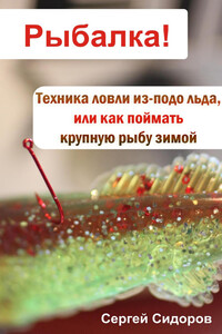 Техника ловли из-подо льда, или Как поймать крупную рыбу зимой - Сергей Александрович Сидоров