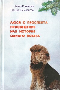 Люся с проспекта Просвещения или История одного побега - Елена Алексеевна Романова, Татьяна Владимировна Коновалова