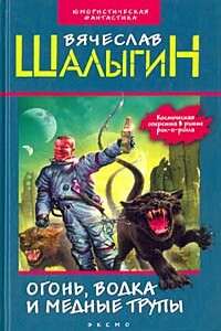 Крейсер «Безумный» - Вячеслав Владимирович Шалыгин