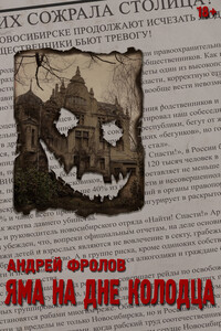 Яма на дне колодца - Андрей Евгеньевич Фролов