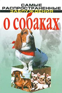 Самые распространенные заблуждения о собаках - Денис Игоревич Дудинский