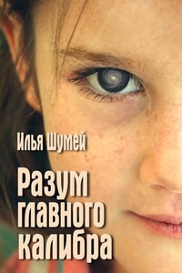 Разум главного калибра - Илья Александрович Шумей