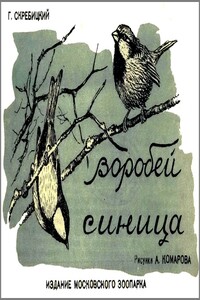 Воробей. Синица - Георгий Алексеевич Скребицкий