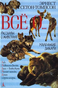 Буйный и Колючая холка - Эрнест Сетон-Томпсон