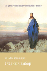 Главный выбор - Дмитрий Владимирович Щедровицкий