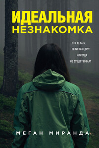 Идеальная незнакомка - Меган Миранда