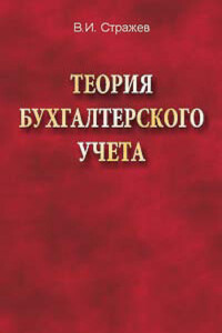 Теория бухгалтерского учета - Виктор Иванович Стражев
