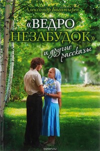 «Ведро незабудок» и другие рассказы - Александр Владимирович Богатырев