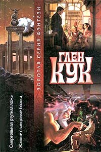 Жалкие свинцовые божки - Глен Кук