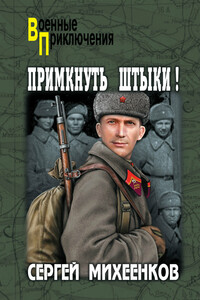 Примкнуть штыки! - Сергей Егорович Михеенков