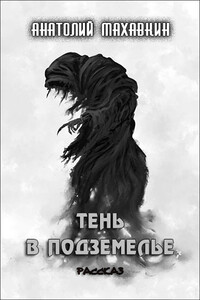 Тень в подземелье - Анатолий Анатольевич Махавкин