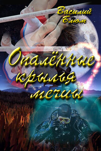 Опалённые крылья мечты - Василий Борисович Блюм