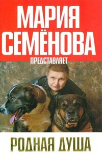 Идентификация-2 - Наталья Васильевна Карасева