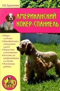 Американский кокер-спаниель - Марина Владимировна Куропаткина