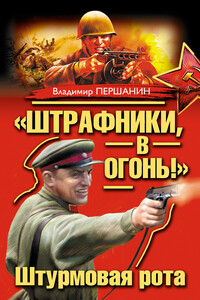 «Штрафники, в огонь!» Штурмовая рота - Владимир Николаевич Першанин