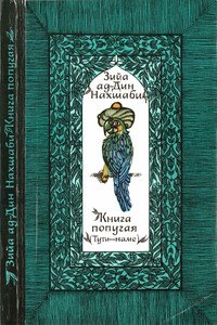 Книга попугая - Зийа ад-Дин Нахшаби