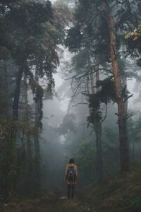 Выход без входа - Юлия Шолох